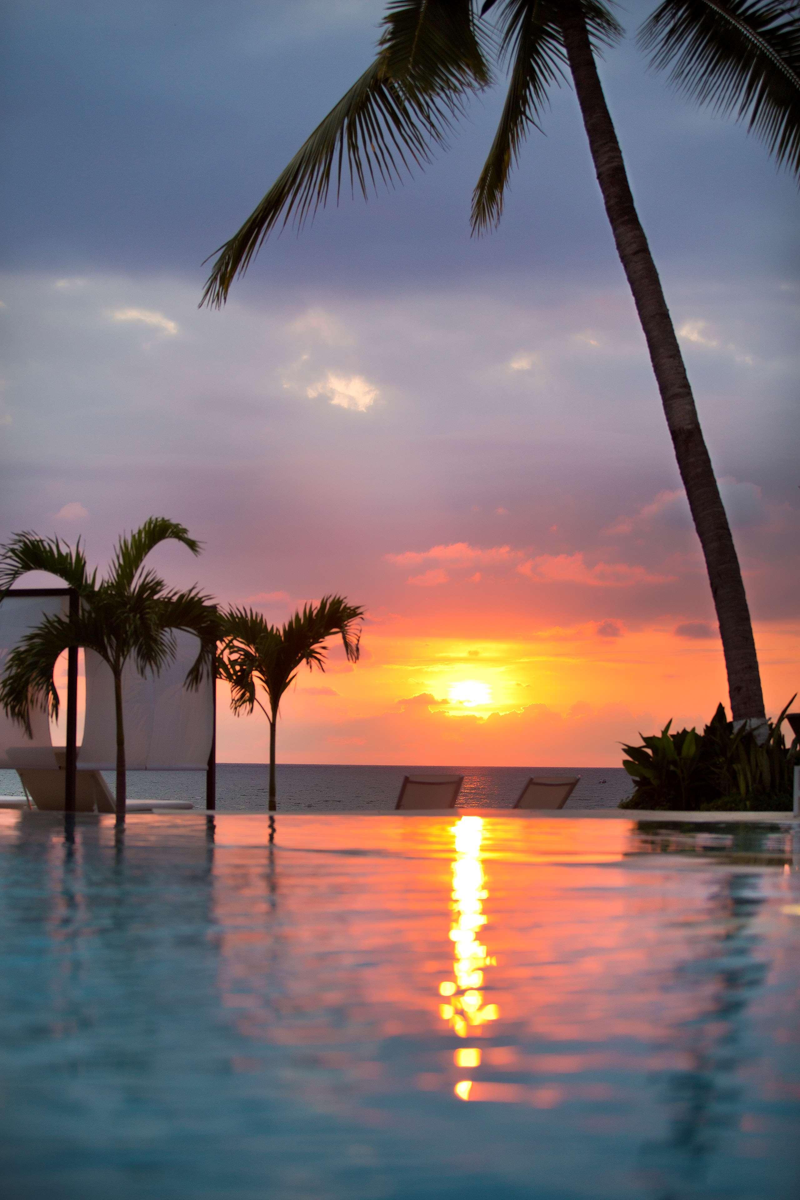 Hilton Puerto Vallarta Resort - Все включено Экстерьер фото